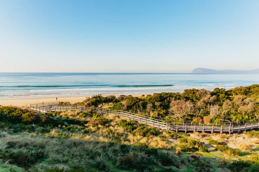 From Hobart/Adventure Bay: Bruny Island Wilderness Cruise - Is the $127 price good value?