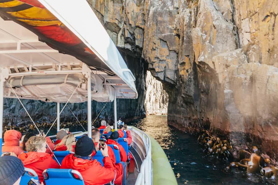 From Hobart/Adventure Bay: Bruny Island Wilderness Cruise - What the yellow boats are really like