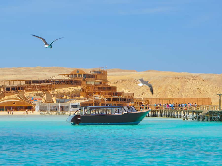 From Hurghada: Giftun Island Cruise with Lunch & Watersports - Who Will Enjoy This Cruise Most?