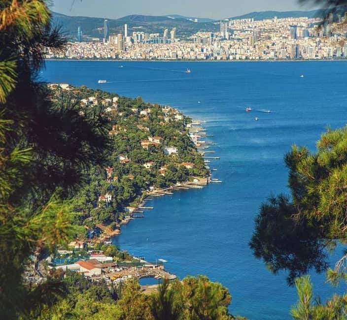 From Istanbul: Princes Island Tour with 2 Islands - Who should book this island tour?