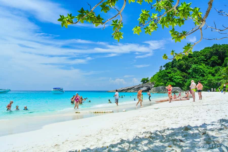 From Khao Lak & Phuket: Trip to Similan Islands by Speedboat - Key points before you book