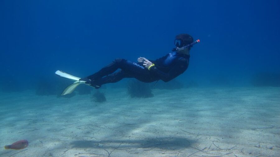From Kos: Pserimos Island Snorkeling Cruise by Diving Boat - From Kos Harbour to Pserimos by boat