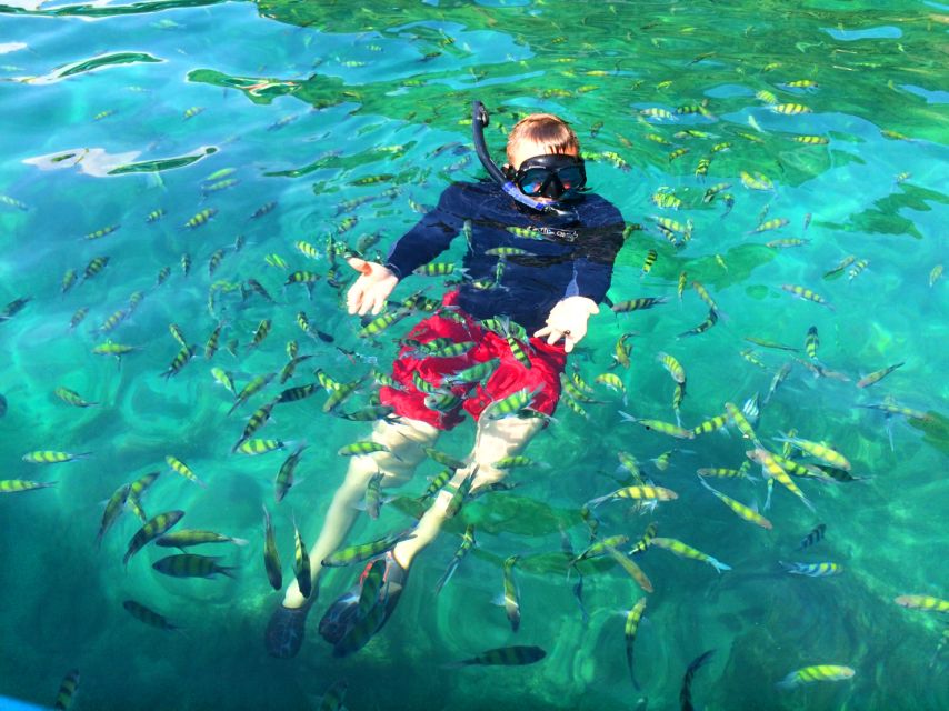 From Krabi: 4 Islands Snorkeling Tour by Speed Boat - Tup Island and the tide-controlled crossing