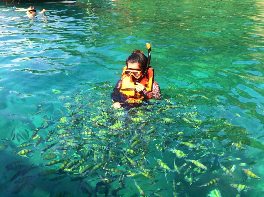 From Krabi: 4 Islands Snorkeling Tour by Speed Boat - Pickup areas, timing, and the return to Krabi
