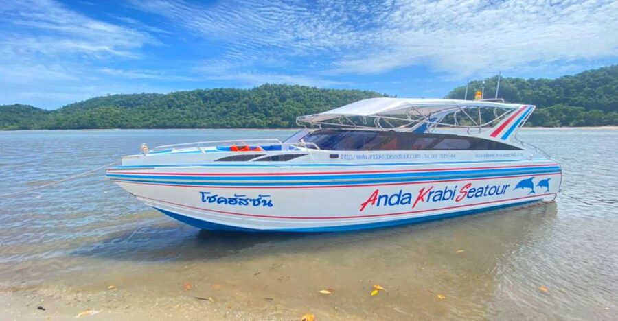 From Krabi: Phi Phi Island Full-Day Private Speed Boat Tour - Why a private boat matters around Phi Phi