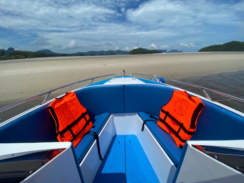 From Krabi: Phi Phi Island Full-Day Private Speed Boat Tour - Price, inclusions, and real value