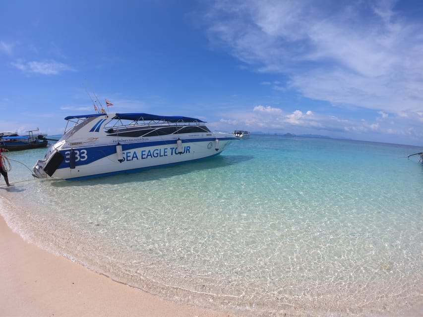 From Krabi: Phi Phi Islands Speedboat Day Tour - Key points to know before booking
