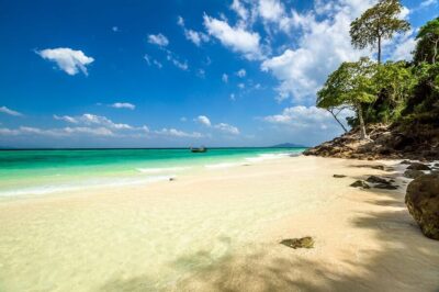 Phi Phi Islands Speedboat Day Tour
