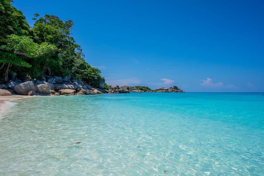 From Krabi: Similan Islands Day Trip by Speedboat - Meals, equipment, and what to pack