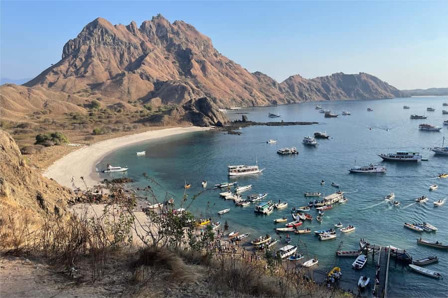 From Labuan Bajo: Komodo Dragons and Island Hop with All Fee - Pink Beach, with time for a swim