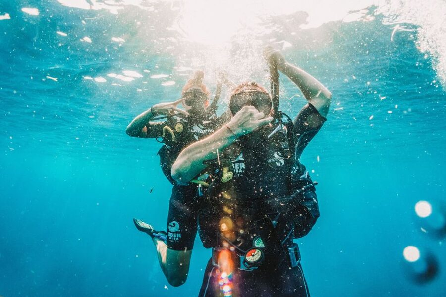 From Lombok: Private Gili Islands Trip w. Glass-Bottom Boat - Gili Meno and The Nest underwater statues