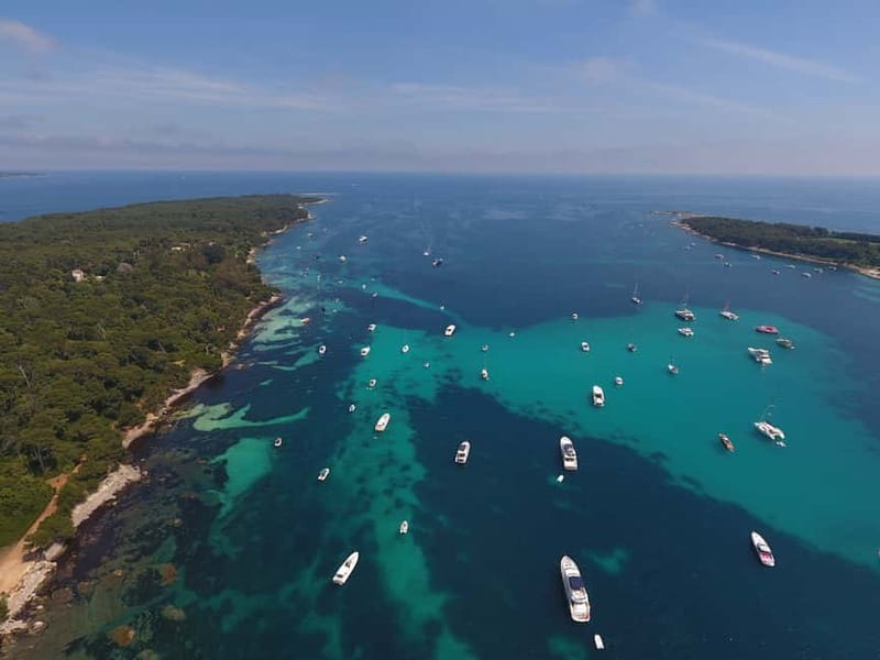 From Mandelieu: St. Marguerite Island Roundtrip Ferry Ride - Batéguier Pond and the Island’s Birdlife