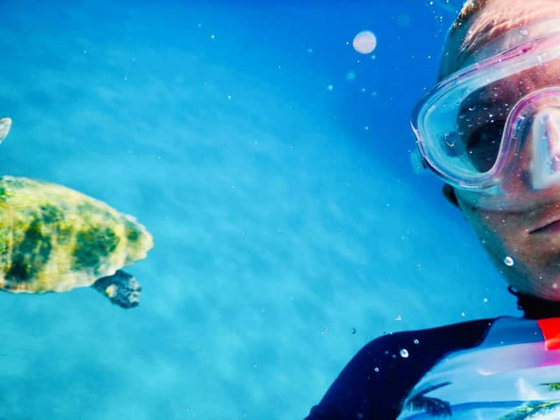 From Milopotas: Ios Island Scenic Snorkeling Cruise - Who will get the most from this Ios cruise?