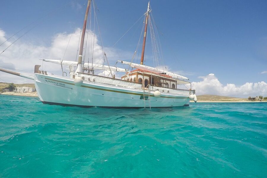 From Mykonos: Delos & Rhenia Islands Half-Day Trip by Boat - The day in one boat ride