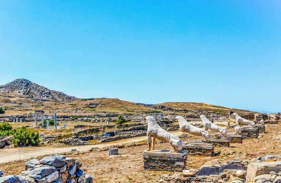 From Mykonos: Delos & Rhenia Islands Half-Day Trip by Boat - BBQ lunch, wine, and the social side