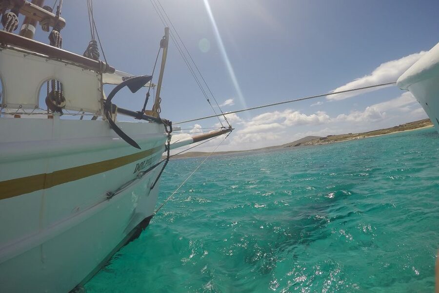 From Mykonos: Delos & Rhenia Islands Half-Day Trip by Boat - The ride back to Mykonos