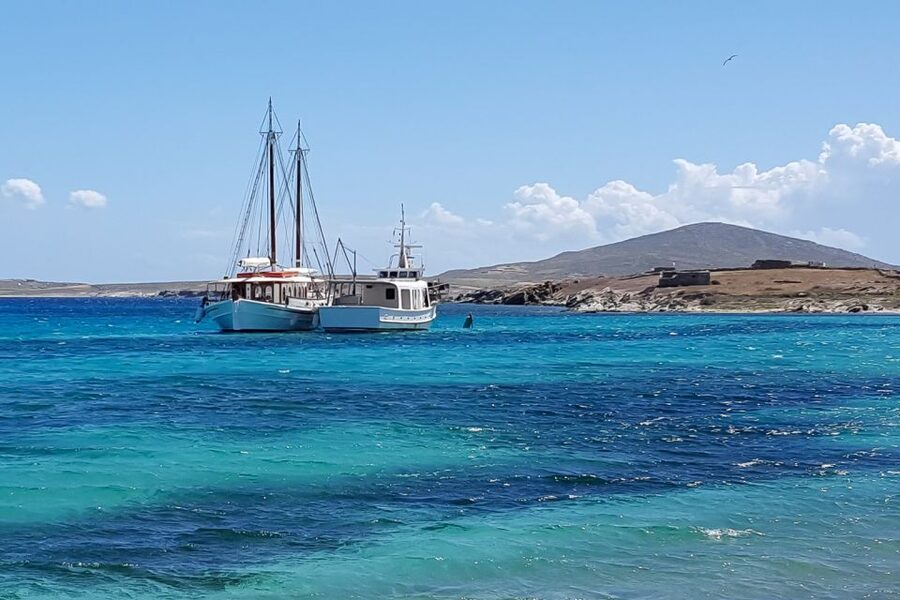 From Mykonos: Delos & Rhenia Islands Half-Day Trip by Boat - What to pack for the 6.5-hour outing
