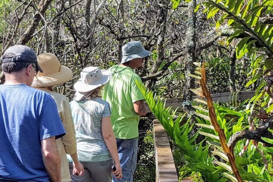 From Naples: 10,000 Islands Boat Trip & Everglades Walk! - Chokoloskee Island and the historic trading post