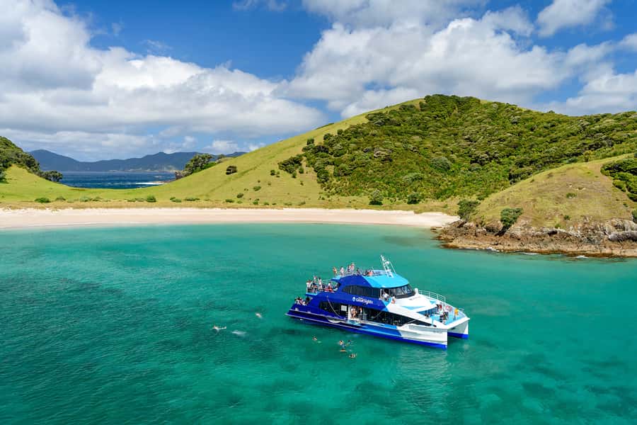 From Paihia: Full-Day Bay of Islands Cruise - Meeting dolphins and other marine life