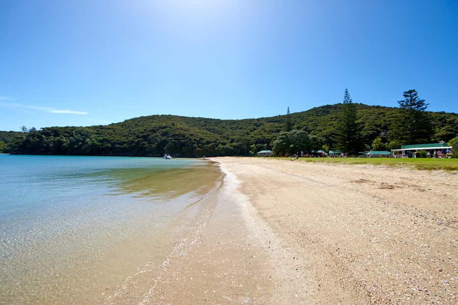 From Paihia: Full-Day Bay of Islands Cruise - Is $116 good value?