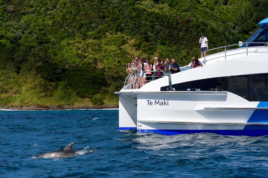 From Paihia: Full-Day Bay of Islands Cruise - Who will enjoy this cruise most?