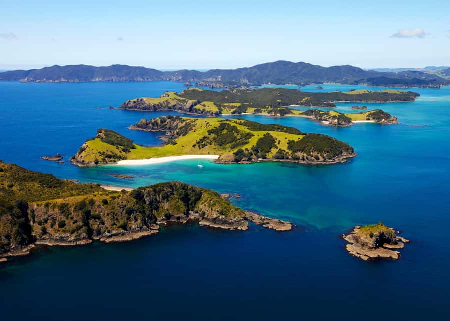 From Paihia: Hole in the Rock Cruise & Island Tour: 3 Hour - Key points to know before booking
