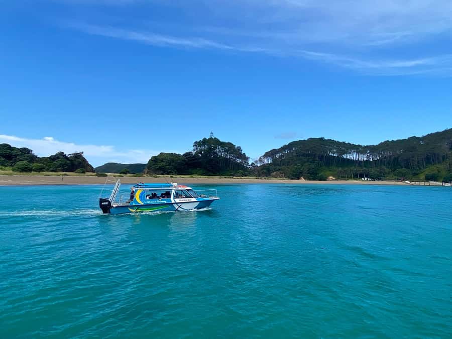 From Paihia: Hole in the Rock Cruise & Island Tour: 3 Hour - Roberton Island and the Twin Lagoons lookout