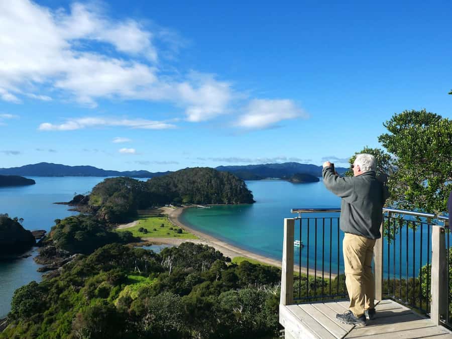From Paihia: Hole in the Rock Cruise & Island Tour: 3 Hour - What the $86 price gets you