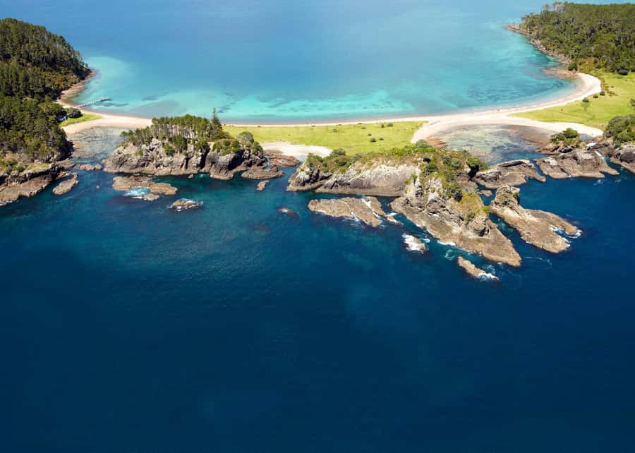 From Paihia: Hole in the Rock Cruise & Island Tour: 3 Hour - Who will enjoy this cruise most