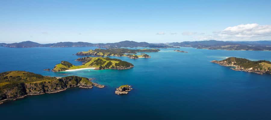 From Paihia: Scenic Cruise with Roberton Island Stopover - Should you book it?