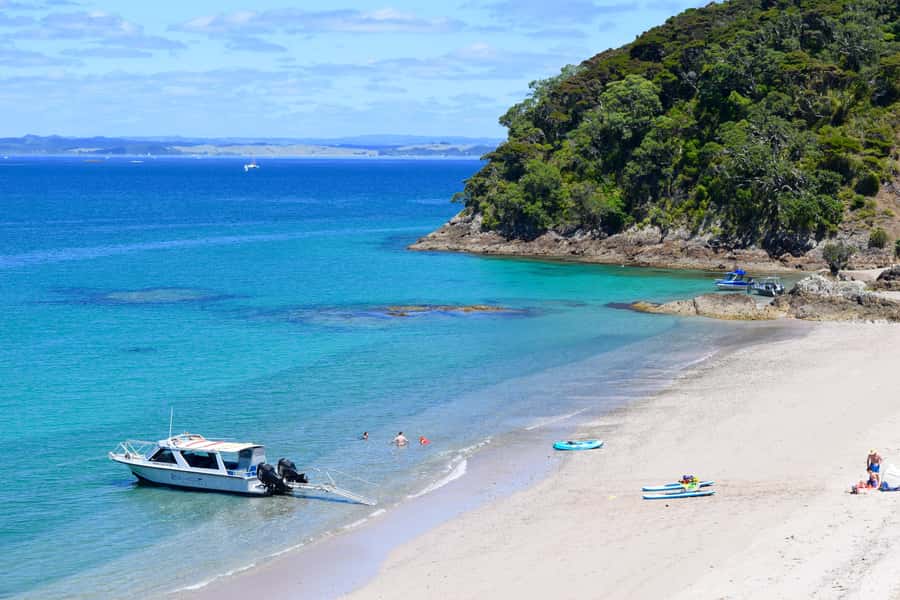 From Paihia: Scenic Cruise with Roberton Island Stopover - Setting out from Pier 10 in Paihia