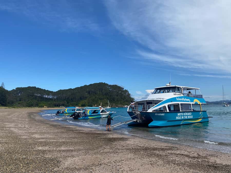 From Paihia: Scenic Cruise with Roberton Island Stopover - The Hole in the Rock and Cape Brett Lighthouse