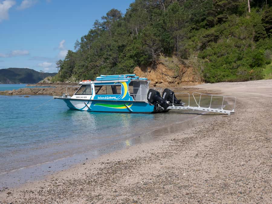 From Paihia: Scenic Cruise with Roberton Island Stopover - What the crew adds to the experience