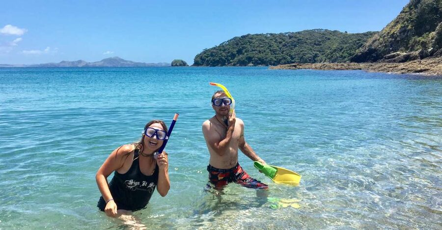 From Paihia: Scenic Cruise with Roberton Island Stopover - Comfort, timing, and value at $78