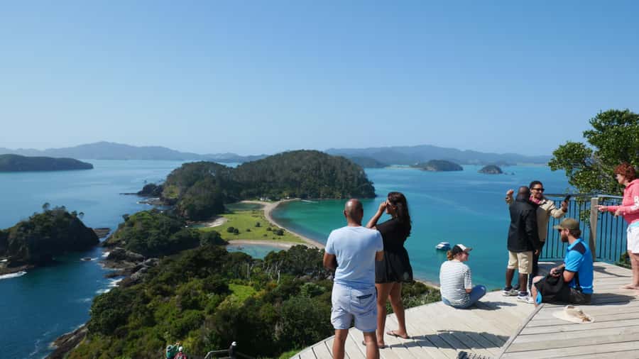 From Paihia: Scenic Cruise with Roberton Island Stopover - Who should book this Paihia cruise?