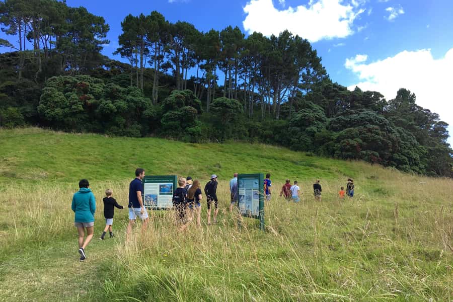 From Paihia: Scenic Cruise with Roberton Island Stopover - Roberton Island and the Twin Lagoons