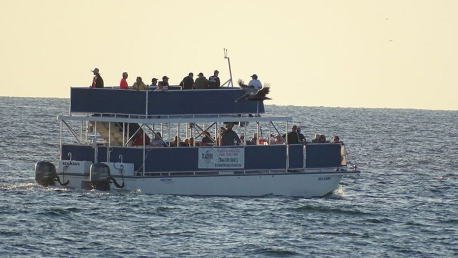 From Panama City, FL: Shell Island Ferry - A practical plan for your hour