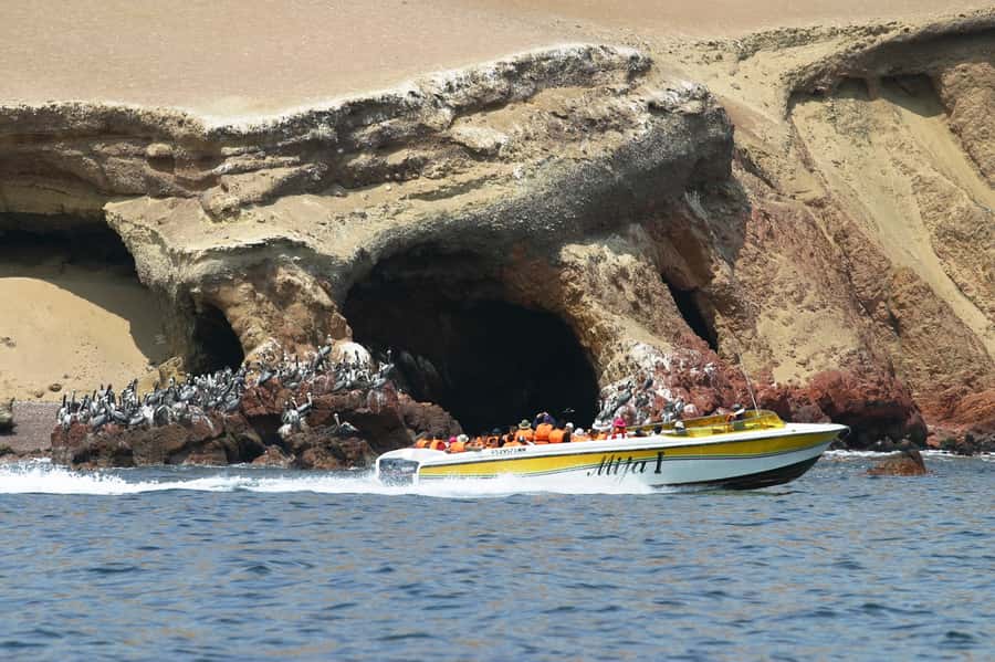 From Paracas: Ballestas Island Boat Tour with entrances - Who should book this Paracas wildlife tour?