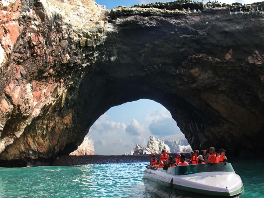 From Paracas: Ballestas Island Boat Tour with entrances - Meeting the sea lions and fur seals