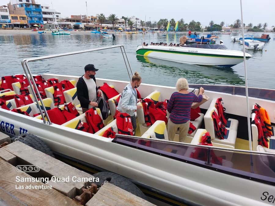 From Paracas: Ballestas Island Cruise & Paracas Reserve Tour - Why this Paracas day trip works so well