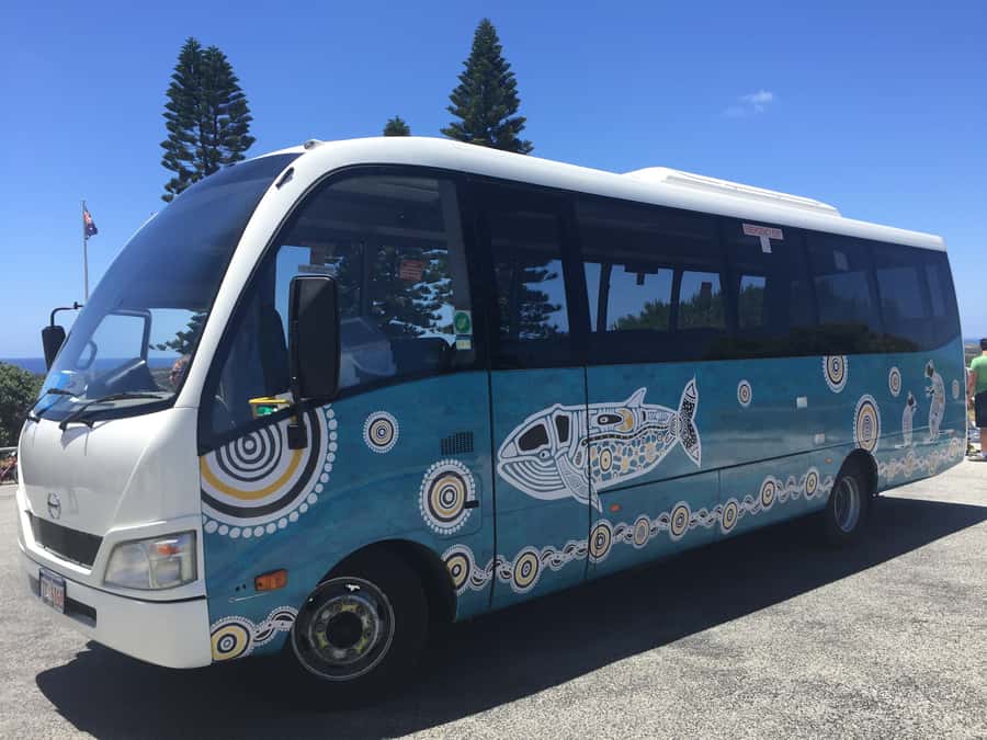 From Perth or Fremantle: Rottnest Island Ferry and Bus Tour - Practical booking and timing advice