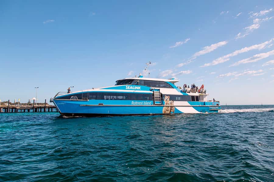 From Perth or Fremantle: Rottnest Island Ferry and Bus Tour - Who will enjoy this trip most?
