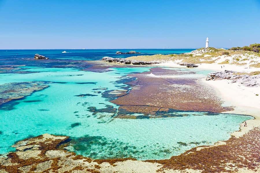 From Perth or Fremantle: Rottnest Island Ferry and Bus Tour - The ferry ride sets the pace for the day