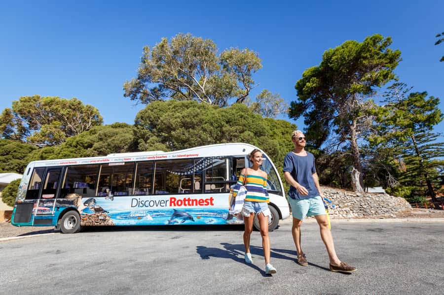From Perth: Rottnest Island Ferry & Bus Day Tour - Why Rottnest works so well as a day trip from Perth