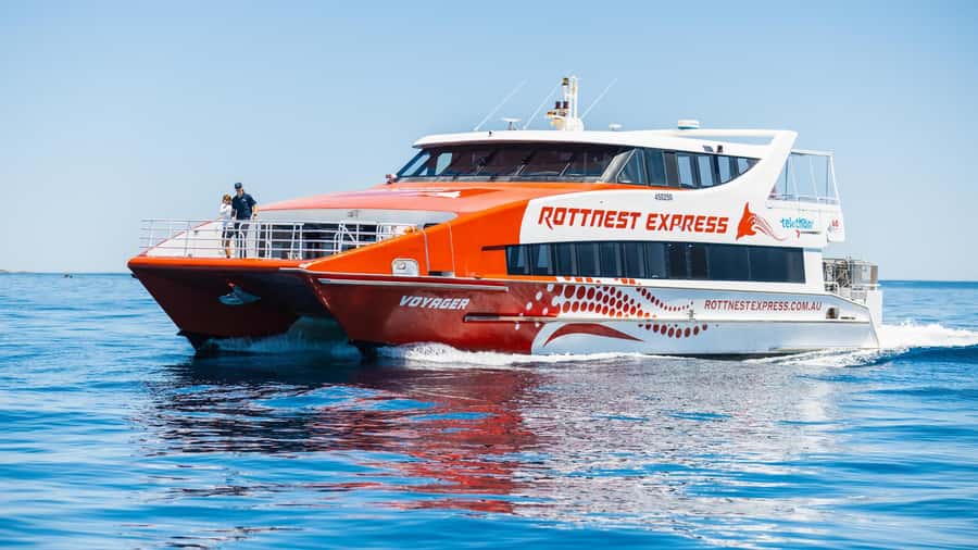 From Perth: Rottnest Island Ferry & Bus Day Tour - Finding quokkas without making them the whole day