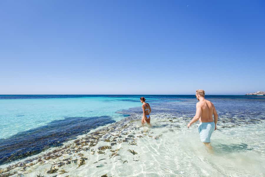 From Perth: Rottnest Island Ferry & Bus Day Tour - Starting at Elizabeth Quay and crossing the Swan River
