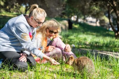 From Perth: Rottnest Island Full-Day Bike and Ferry Trip