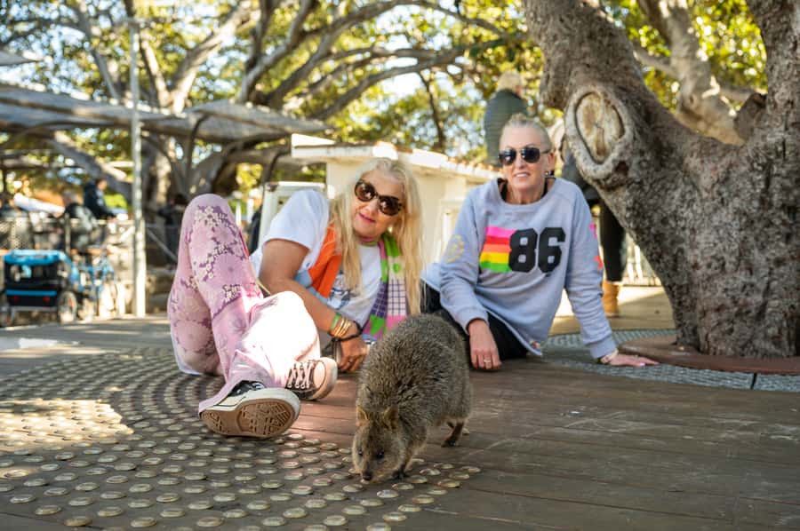 From Perth: Rottnest Island Full-Day Bike and Ferry Trip - What you get for $84