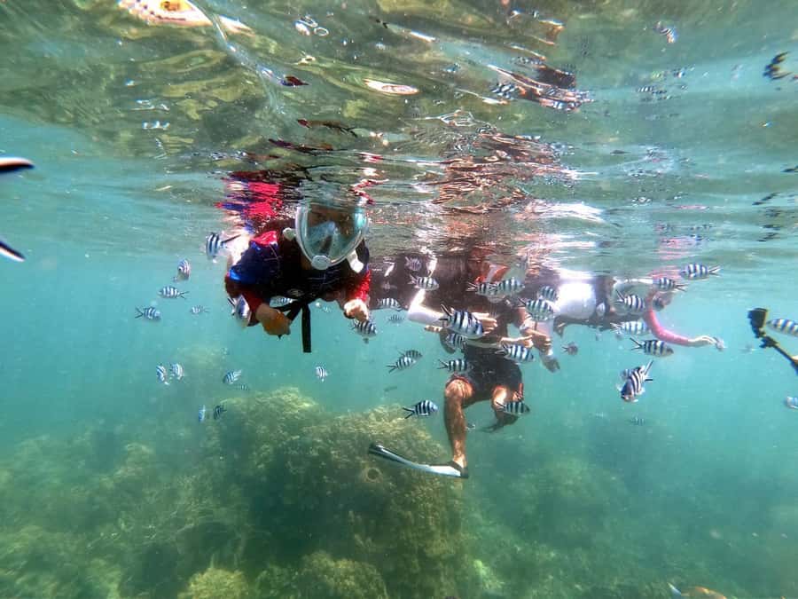 From Phi Phi: 6 Hrs Private Phi Phi Islands Boat Tour - The quieter coves: Loh Ba Kao and Log Lana
