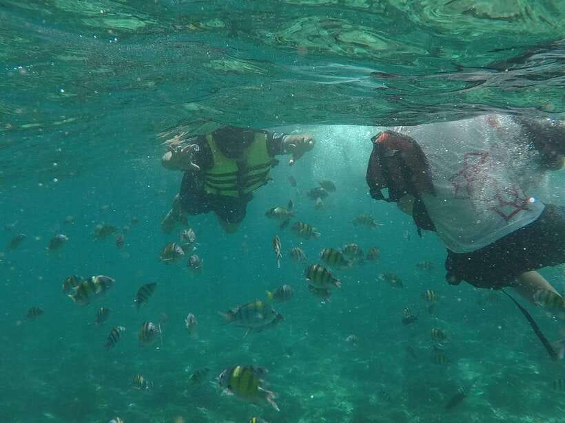 From Phi Phi Island :Half-day Tour by Longtail Boat - Weather, sea conditions, and comfort